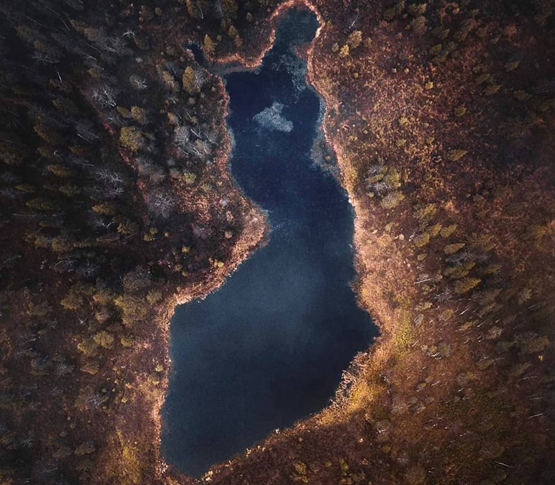 عکس هوایی از دریاچه‌ای جنگلی در فنلاند