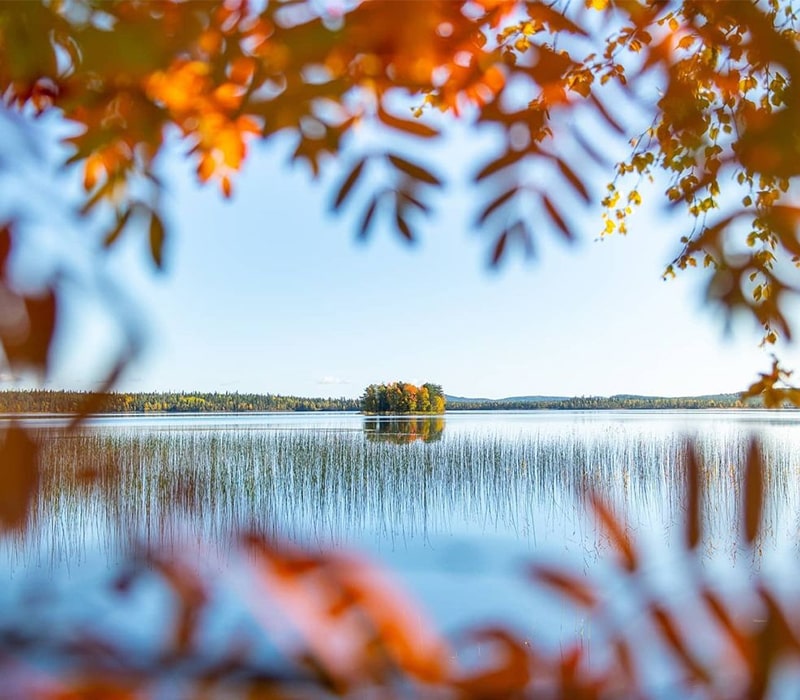 منظره پاییزی از طبیعت فنلاند