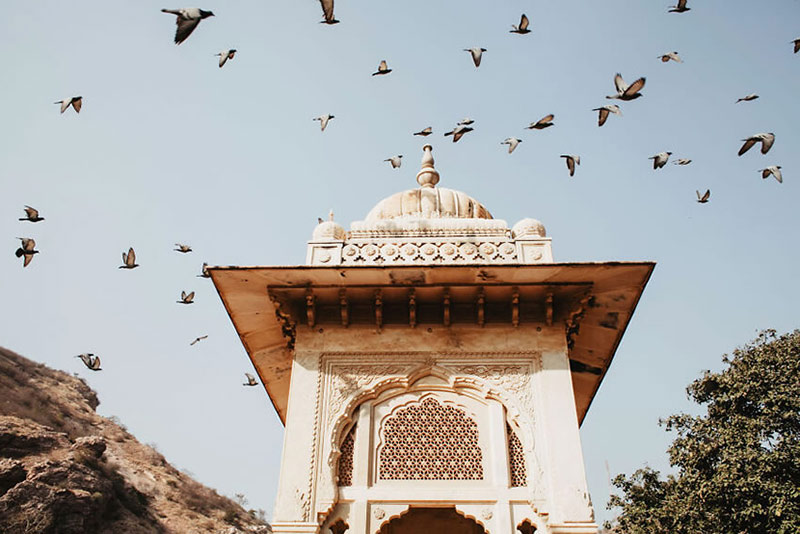 پرواز پرنده ها از بالای یک سازه معماری در هند