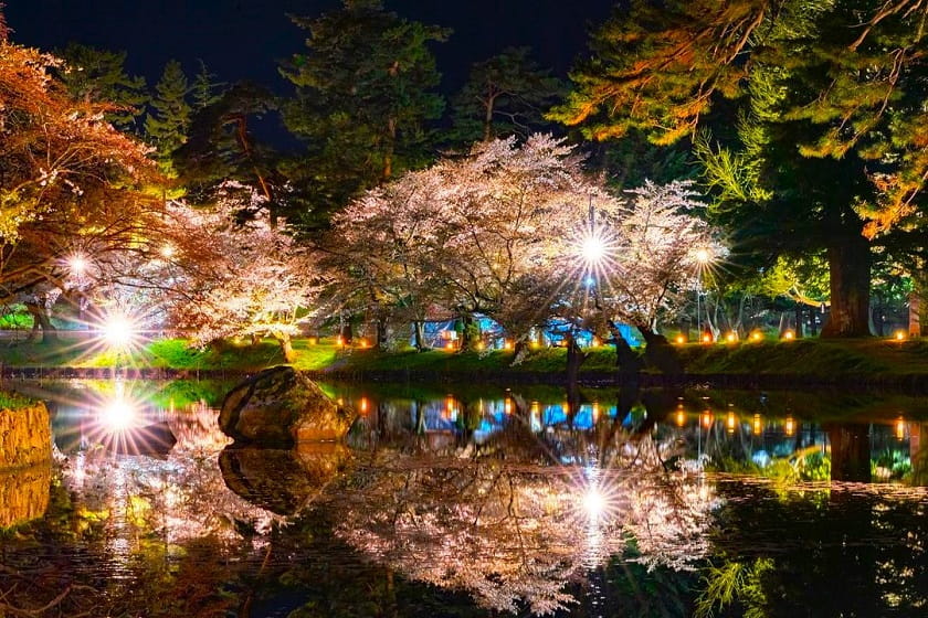 سفر به ژاپن در فصل شکوفه های گیلاس