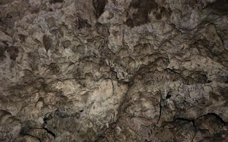 استالاگتیت‌ها در بخشی از سقف غار گل زرد، منبع عکس: wikiloc.com، عکاس: Razin Kamali