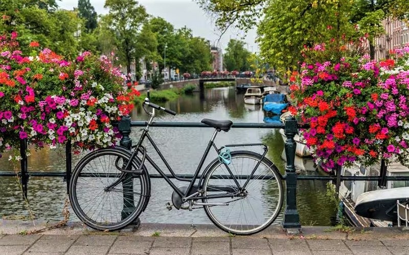کانال آب در آمستردام