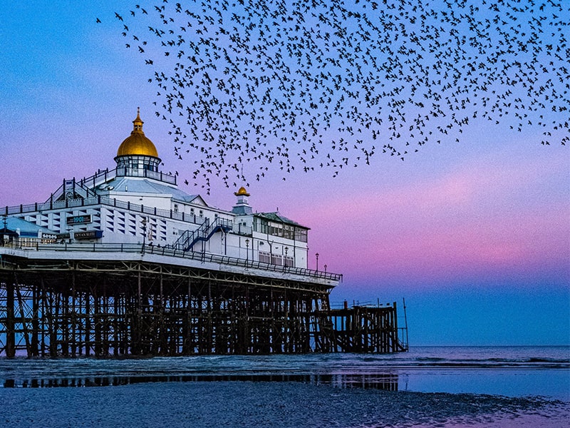 پرواز پرنده‌ها بر فراز ساختمانی ساحلی در بریتانیا