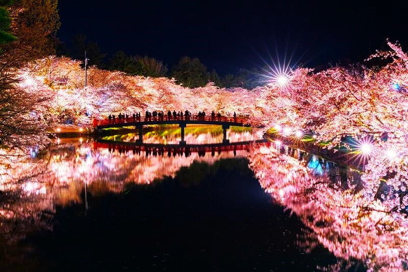 شکوفه‌های گیلاس در فصل بهار ژاپن