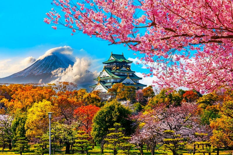 شکوفه های گیلاس در ژاپن، منبع: goodhousekeepingholidays