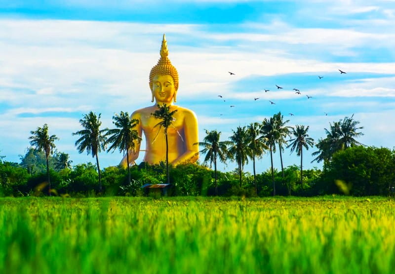 بودای بزرگ معبد Wat Muang، منبع: cuddlynest