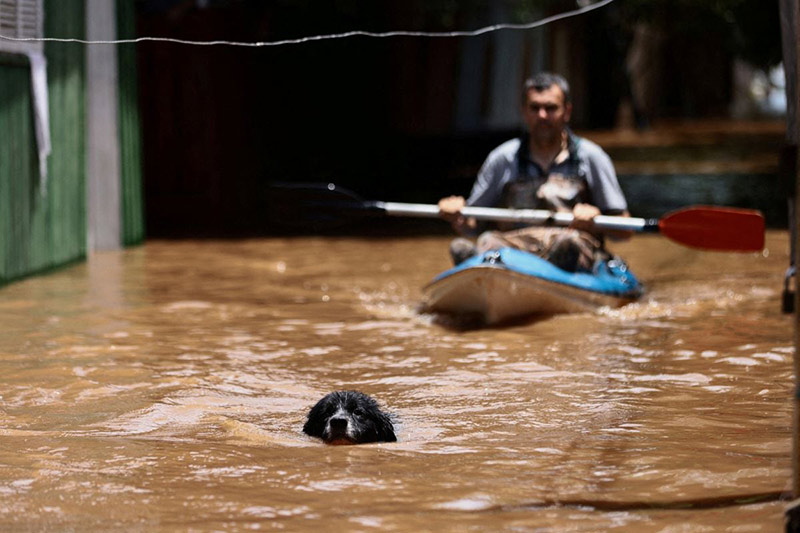یک مرد و سگ در سیل ناشی از باران های شدید در برزیل