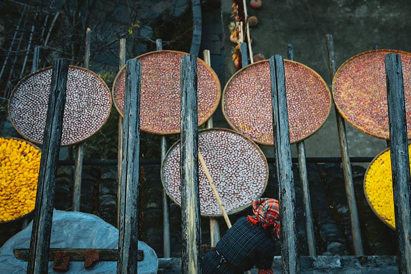 خشک کردن محصولات زراعی در روستاهای چین