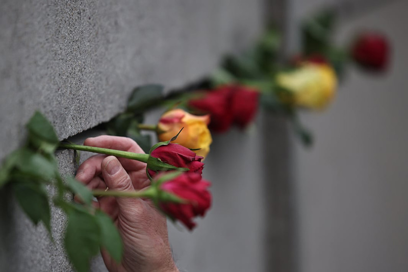 قرار دادن گل رز در شکاف باقیمانده در دیوار در سی و چهارمین سالگرد فرو ریختم دیوار برلین