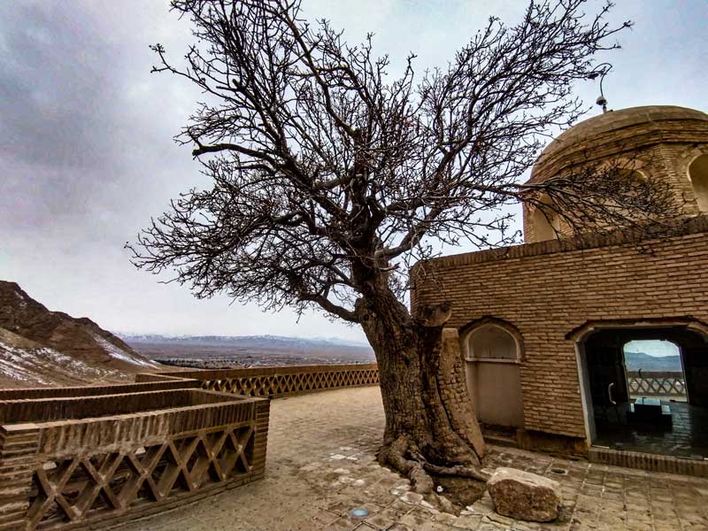 آرامگاه بوذرجمهر قاینی در کنار درخت بنه؛ منبع عکس: گوگل مپ؛ عکاس: حمیدرضا رضاپور