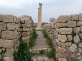 بقایای شهر تاریخی بیشاپور؛ منبع عکس: گوگل مپ؛ عکاس: مهران شش برادران