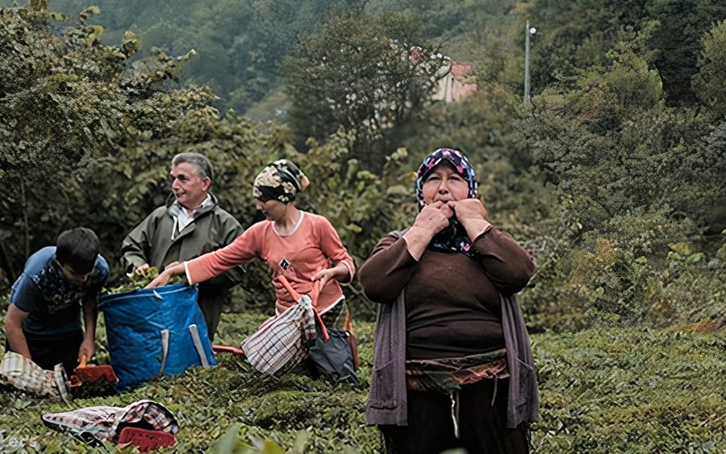 سوت زدن زنی در روستای کوسکوی ترکیه