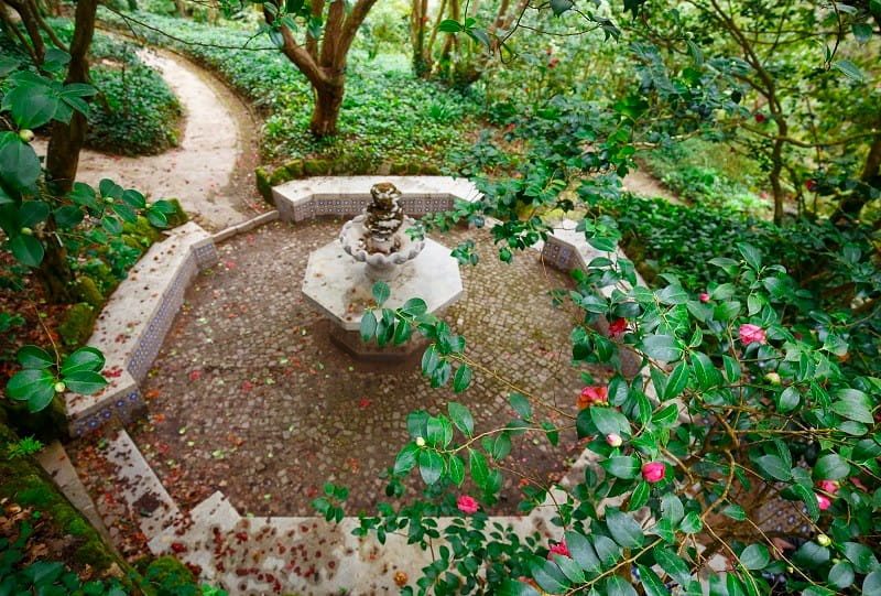 باغ کاملیا در کاخ ملی پنا، منبع: www.parquesdesintra.pt