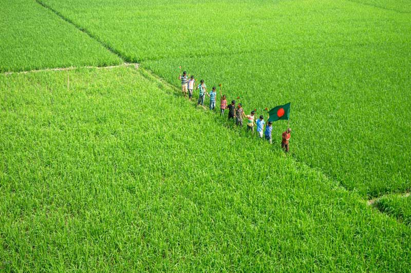عبور عده‌ای با پرچم بنگلادش از میان یک دشت 