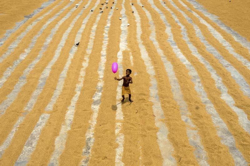 بادکنک بازی یک پسربچه در میان غله‌های پهن شده روی زمین