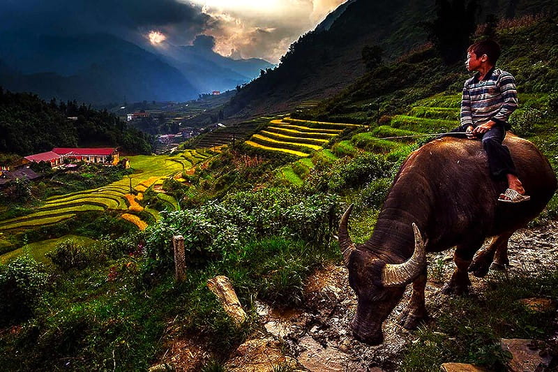 روستای کت کت در ویتنام، منبع: صفحه اینستاگرام sapa.vietnam