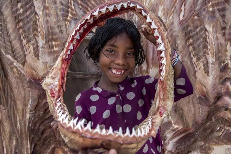 دختر بچه بنگلادشی در میان آرواره جدا شده یک کوسه 