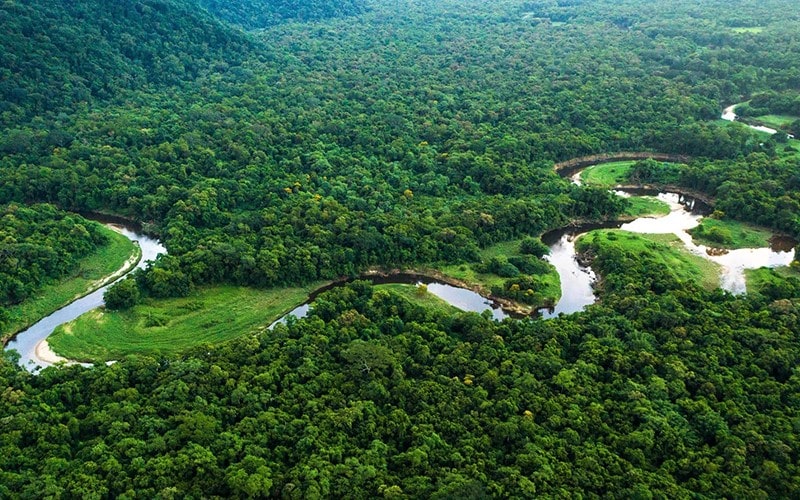 عکس هوایی از رودخانه مارپیچ در جنگل