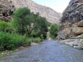 رودخانه و طبیعت دره شمخال؛ منبع عکس: گوگل مپ؛ عکاس: مریم معصومی
