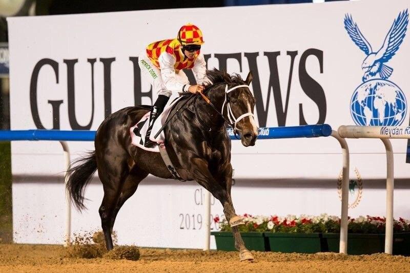 گرانترین اسب ایران در مسابقات جهانی؛ منبع عکس: ورزش سه؛ عکاس: نامشخص