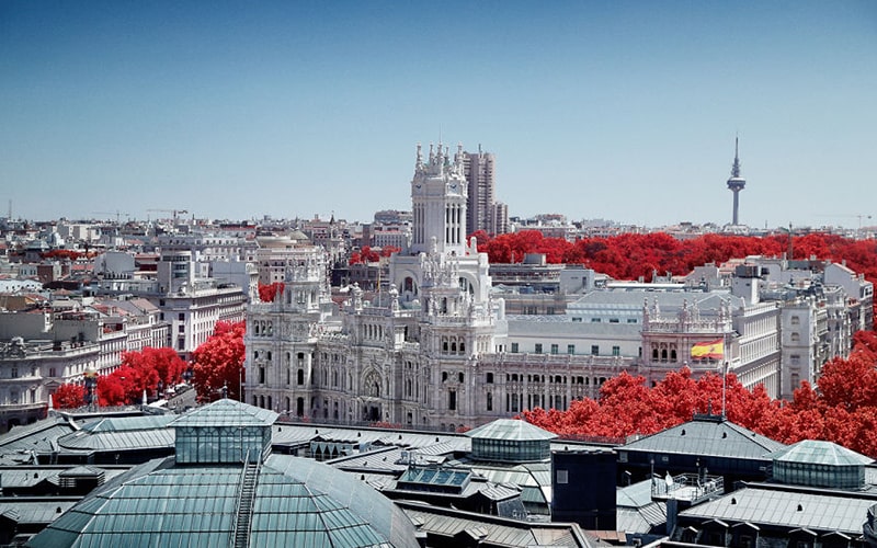 عکس هوایی از شهر مادرید با درختان قرمز