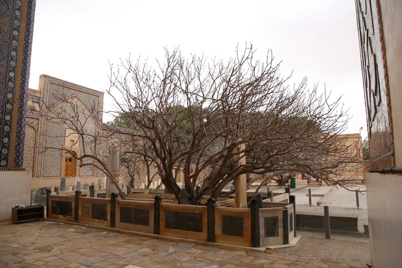 آرامگاه شیخ احمد جامی؛ منبع عکس: گوگل مپ؛ عکاس: بهراد موعودی