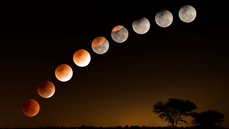 مراحل پدیده ماه گرفتگی در طبیعت بر فراز تک درخت، منبع عکس: سایت exploratorium، عکاس نامشخص