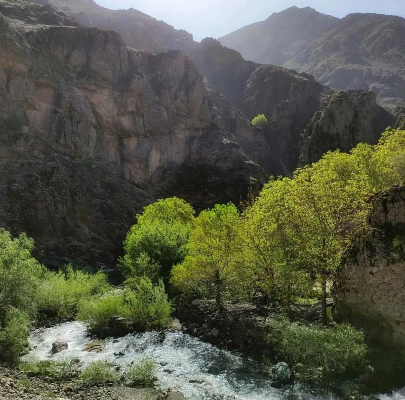طبیعت بکر روستای سپهسالار در مسیر رودخانه این روستا در دامنه کوهستان، منبع عکس: صفحه اینستاگرام its.life.plus، عکاس نامشخص