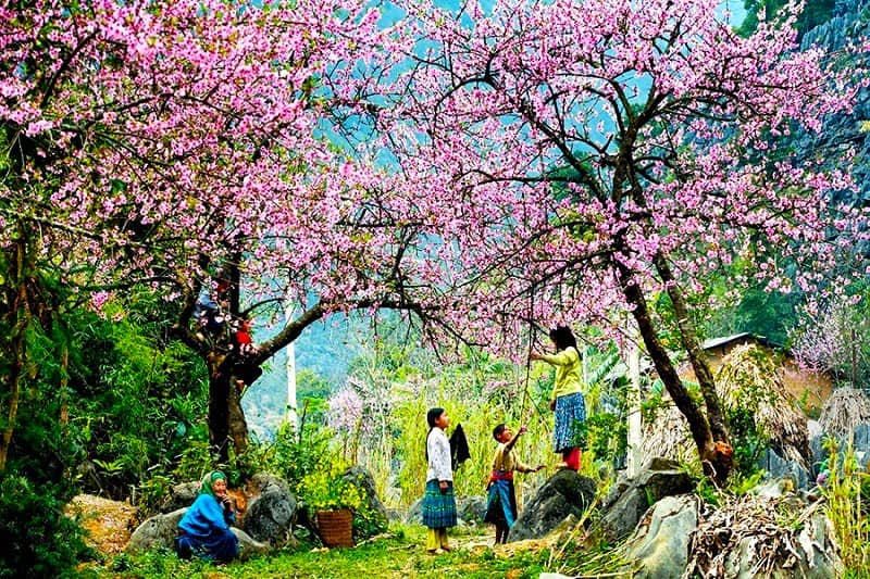 بهار در ساپا، منبع: visitourvietnam