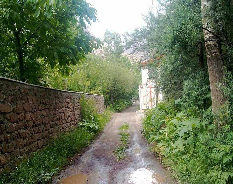 کوچه سرسبز در جوار دیوار آجری در روستای حسنکدر، منبع عکس: صفحه اینستاگرام n_shinehorizon، عکاس نامشخص