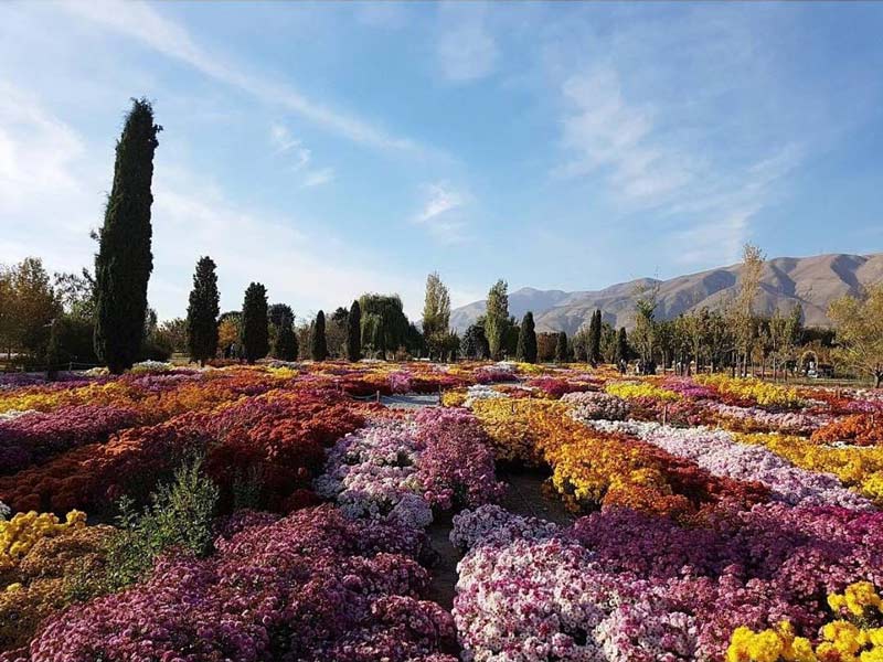 گل های رنگارنگ در باغ گیاه شناسی ملی ایران، منبع عکسک سایت national botanical garden، عکاس نامشخص