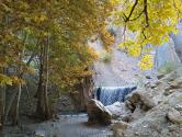 طبیعت زیبای پاییزی در آبشار ارتکند؛ منبع عکس: گوگل مپ؛ عکاس: علی ستاری