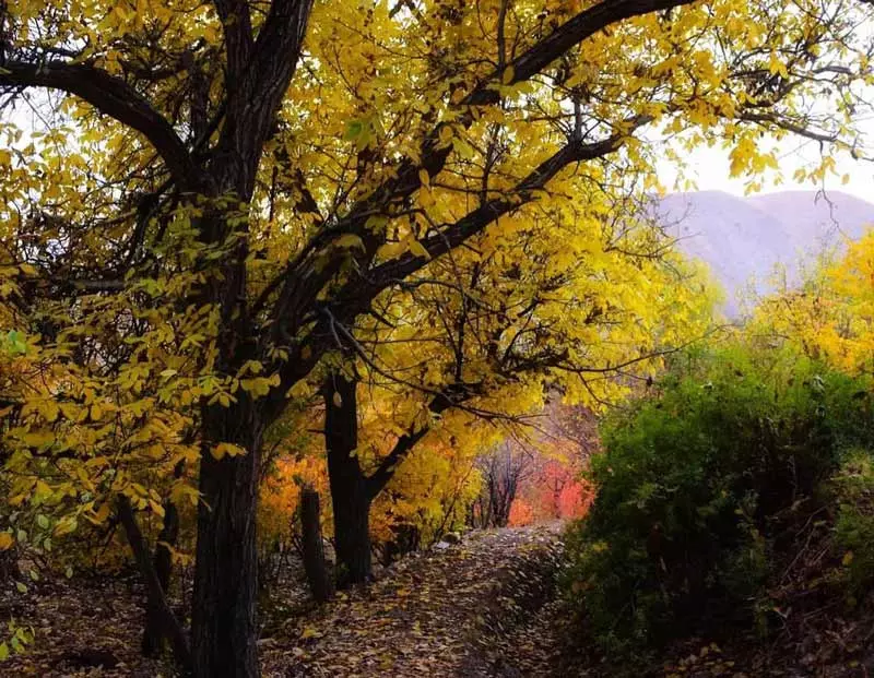 باغ های رنگارنگ پاییزی در روستای شهرستانک، منبع عکس: صفحه اینستاگرام tehran__lands، عکاس نامشخص