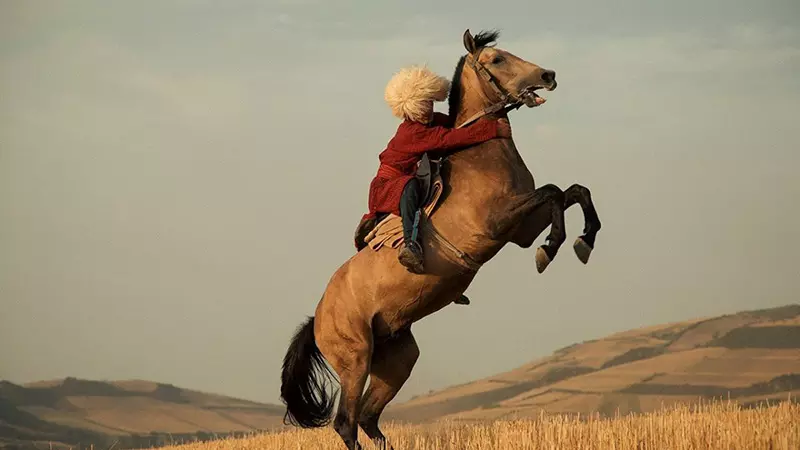 اسب ایرانی اصیل نژاد ترکمن؛ منبع عکس: ghoghnos.net؛ عکاس: نامشخص