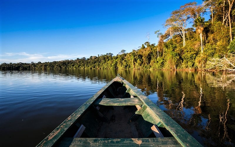 قایق چوبی در آب‌های یک جنگل