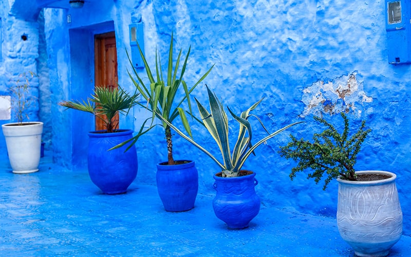 گلدان های آبی در کوچه‌های شفشاون مراکش، منبع عکس: unsplash.com، عکاس: rigel 