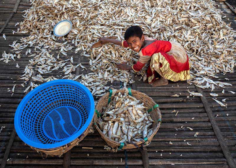 کودکی در حال جمع آوری ماهی