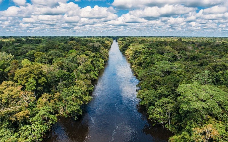 عکس هوایی از جریان رودخانه در وسط جنگل