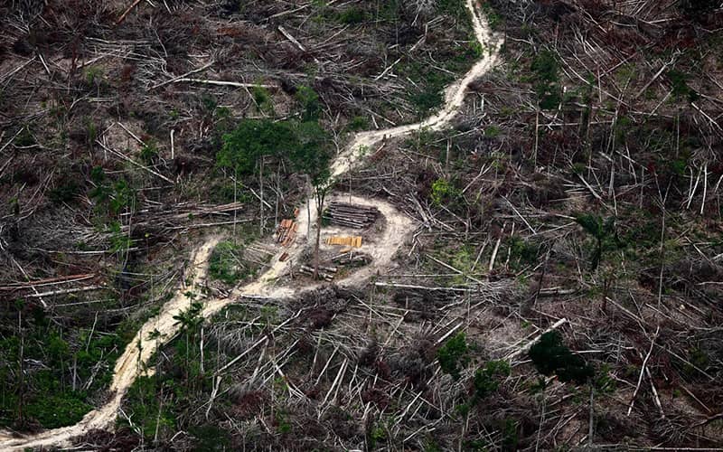 تخریب گسترده در جنگل آمازون