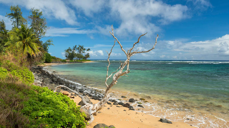 سواحل آفتابی مولوکای در جزایر هاوایی از نمای پایین