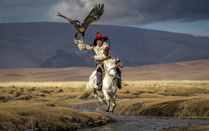 اسب سوار قزاق همراه با عقابش