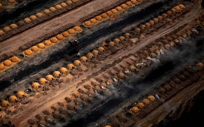 تعداد زیادی کوره زغال در جنگل آمازون