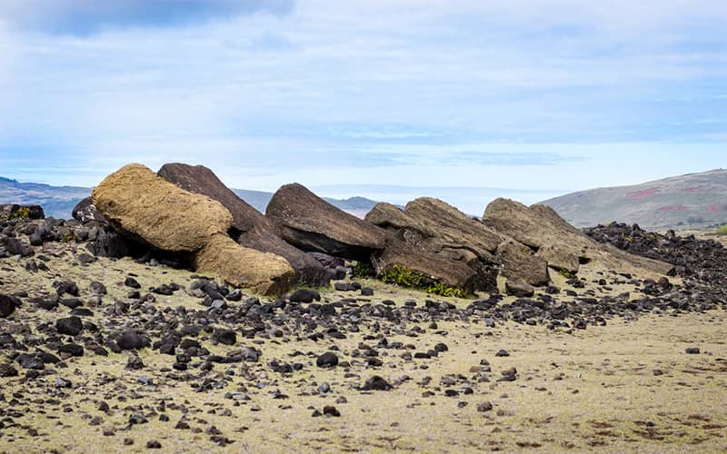 چندین مجسمه بزرگ روی زمین در جزیره ایستر