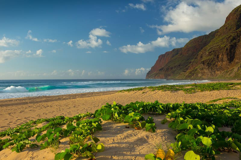 سواحل اقیانوس آرام در پارک پولیهاله هاوایی