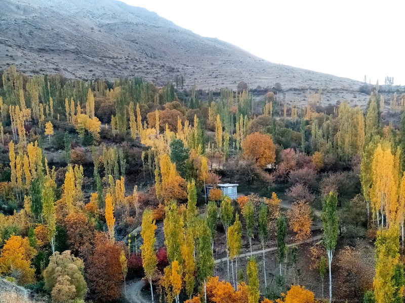 منظره پاییزی روستای لرد