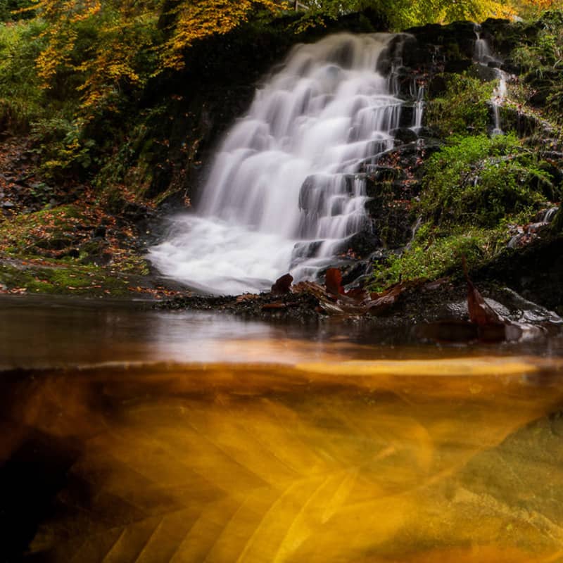 آبشاری پرآب در جنگلی سرسبز