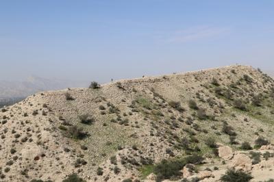 شناسایی ده‌ها محوطه باستانی در استان بوشهر