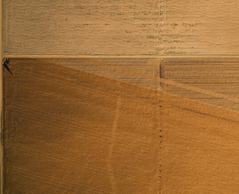 عکس هوایی از مزرعه ای زردرنگ