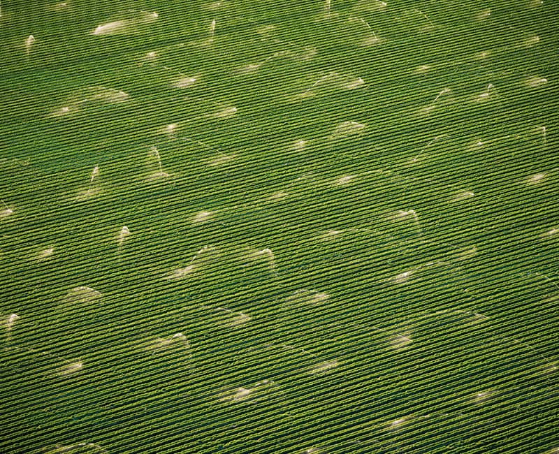 عکس هوایی از آبیاری یک زمین کشاورزی