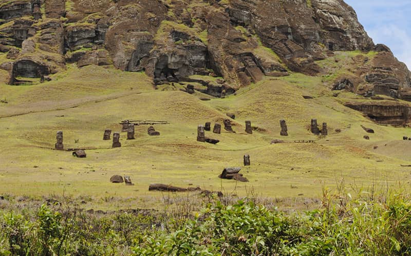 تعداد زیادی مجسمه موآی در دامنه کوه